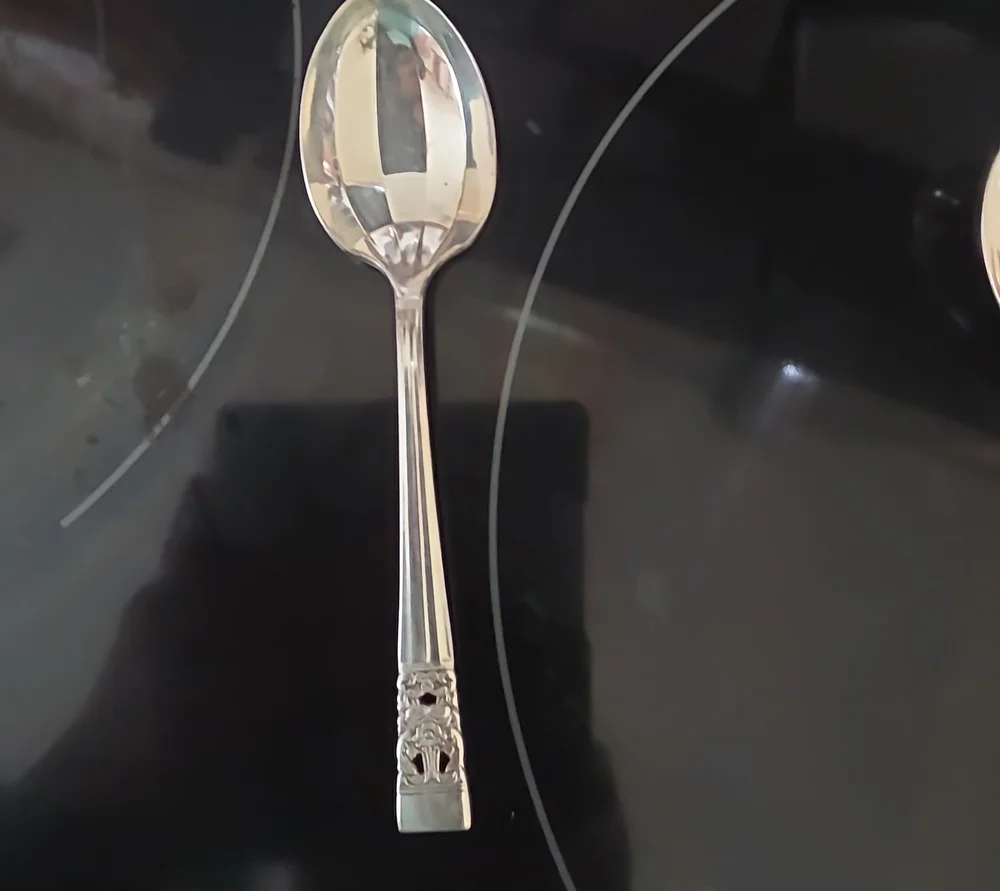 Silver plated Serving Spoon - Silver